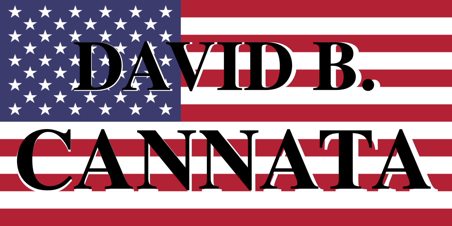 David B. Cannata for Congress